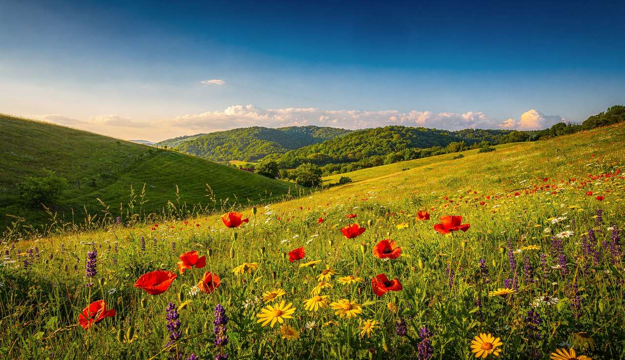 Des couleurs estivales pour une d&eacute;co vacances