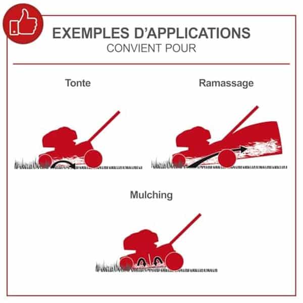 Découvrez notre test complet de la tondeuse thermique Scheppach MS161-46 : puissance, polyvalence et performances. Avis détaillé pour bien choisir votre tondeuse. 