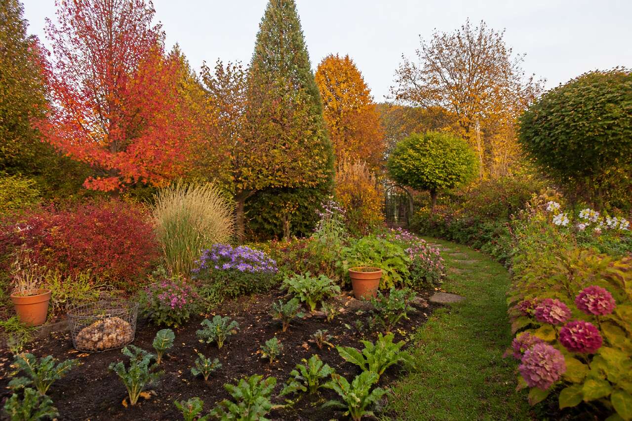 Que planter en automne : arbres, arbustes, bulbes et l&eacute;gumes de saison
